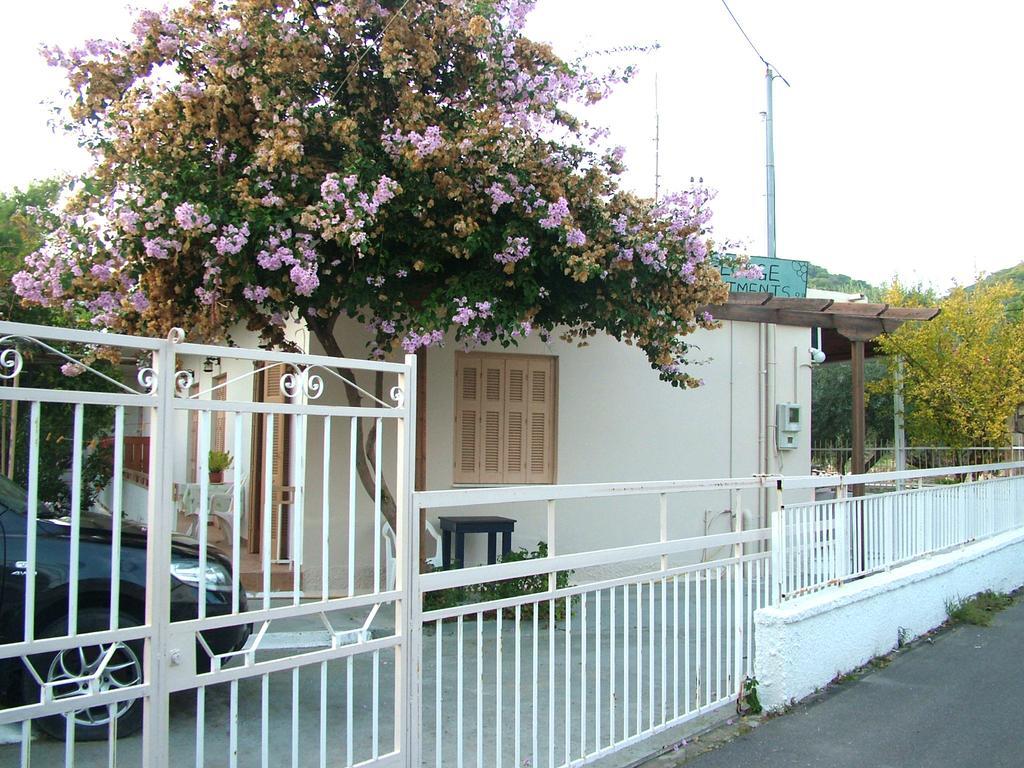 George'S Apartment Agia Marina  Room photo